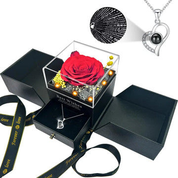Eternal Red Rose with "I Love You" necklace in 100 languages